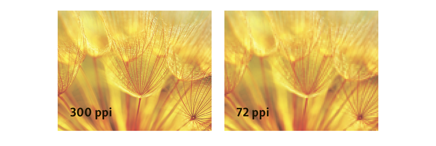 Від макета до друку: як уникнути типових помилок дизайнерів